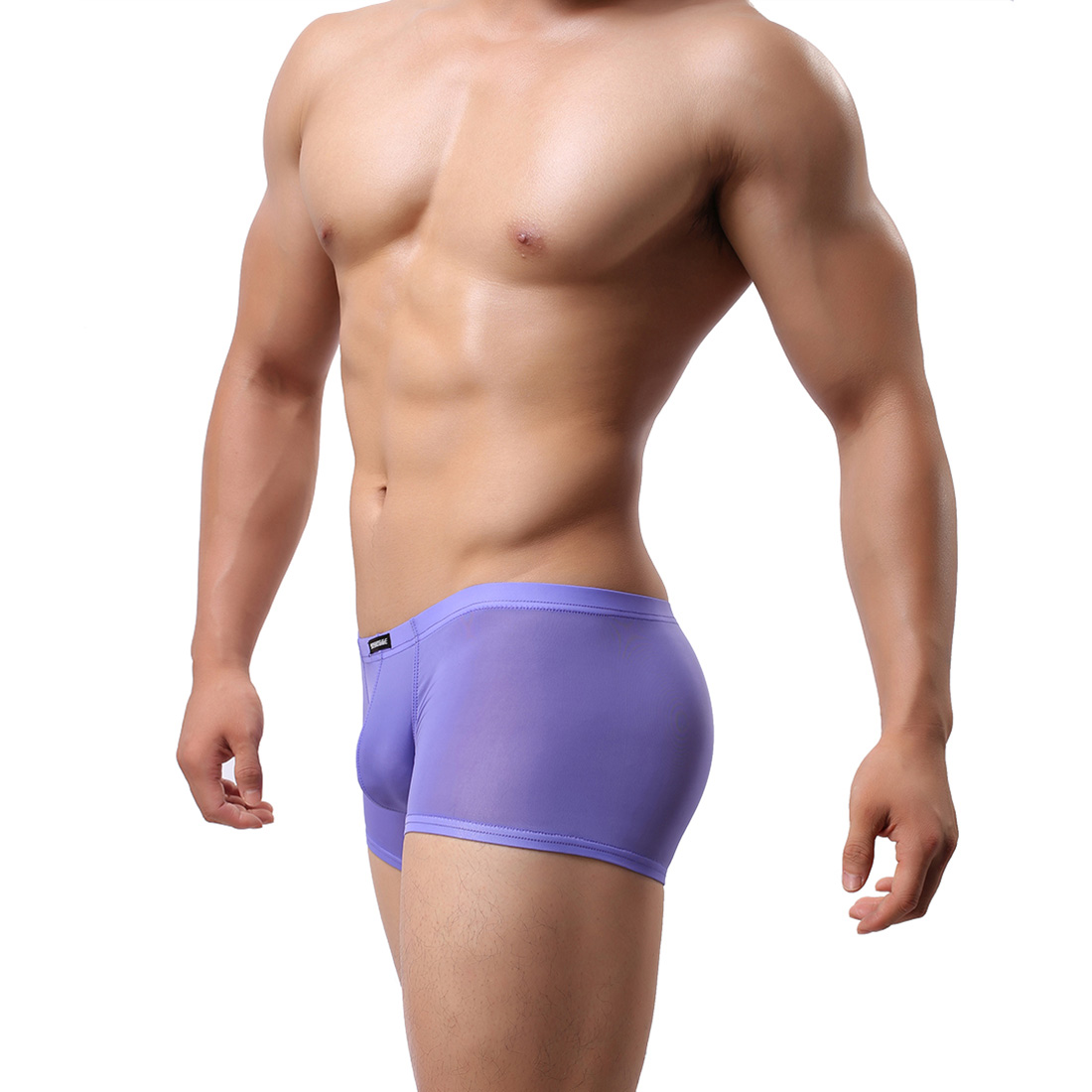 Men's Sexy Lingerie Underwear See-through Boxer Shorts Underpants WH42 Purple L