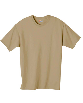 Hanes 5250T Authentic T-Shirt