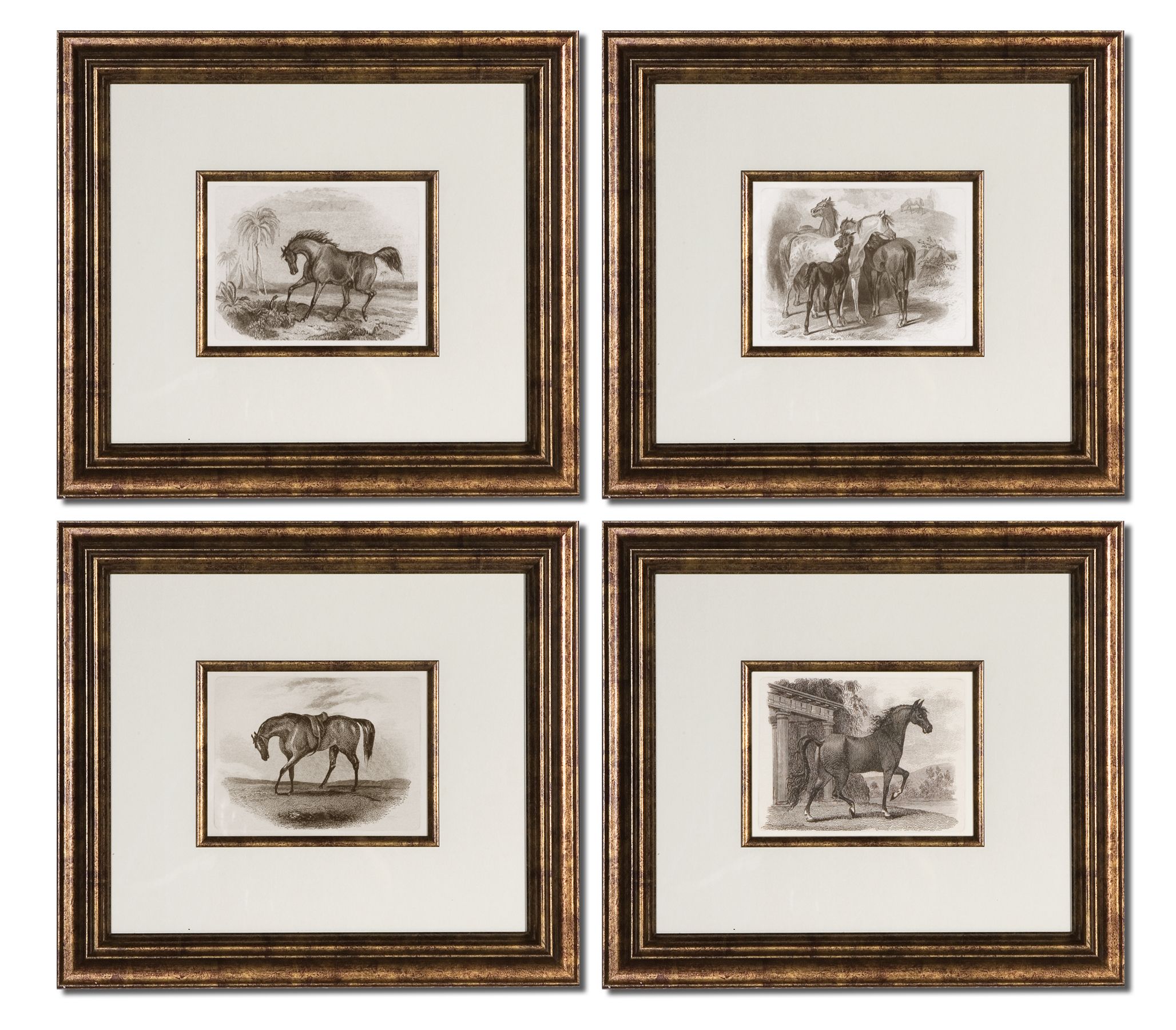 Uttermost 33590 Horses Framed Art Set/4