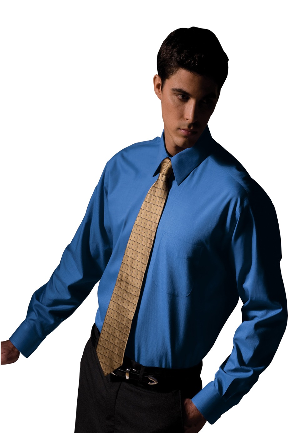 Edwards Garment 1965 - Men's Long Sleeve Pinpoint Oxford Shirt