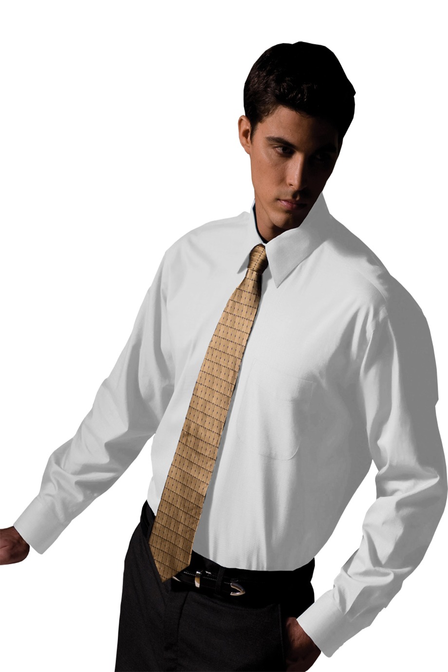 Edwards Garment 1965 - Men's Long Sleeve Pinpoint Oxford Shirt