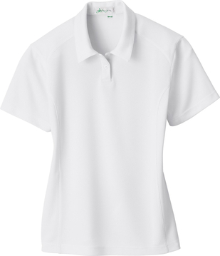 Ash City e.c.o Knits 75053 - Ladies' Recycled polyester Performance Birdseye Polo